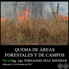 QUEMA DE REAS FORESTALES Y DE CAMPOS - Ing. Agr. FERNANDO DAZ SHENKER - Mircoles, 25 de Octubre de 2017